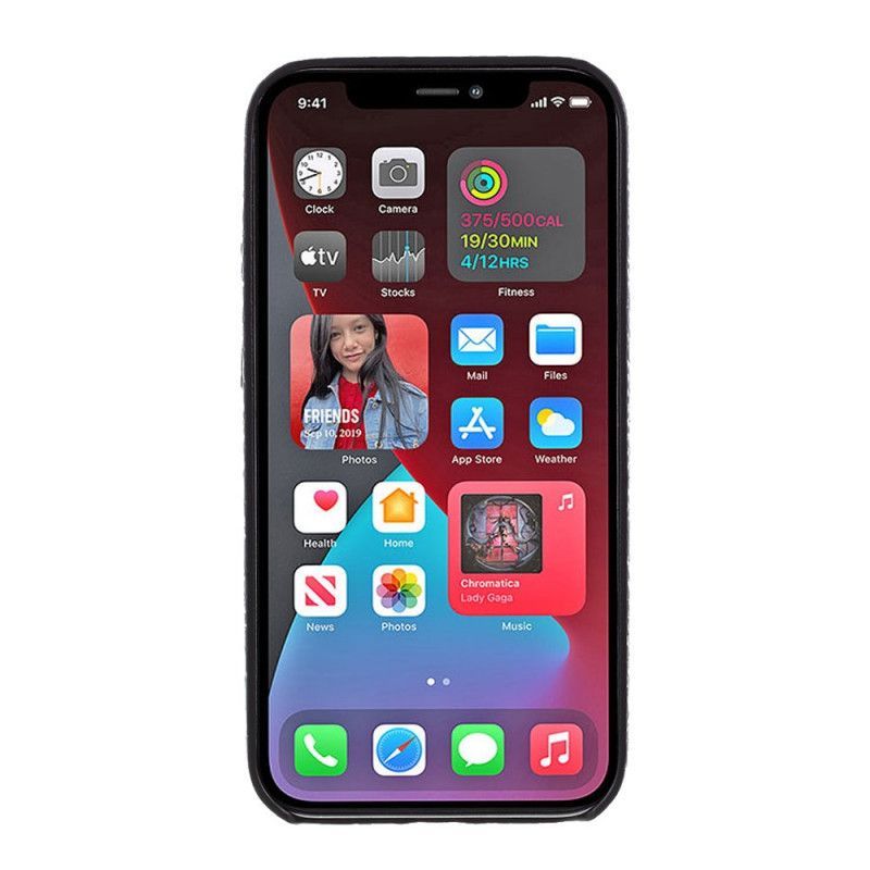 Kryt Iphone 12 Mini Efekt Hadí Kůže