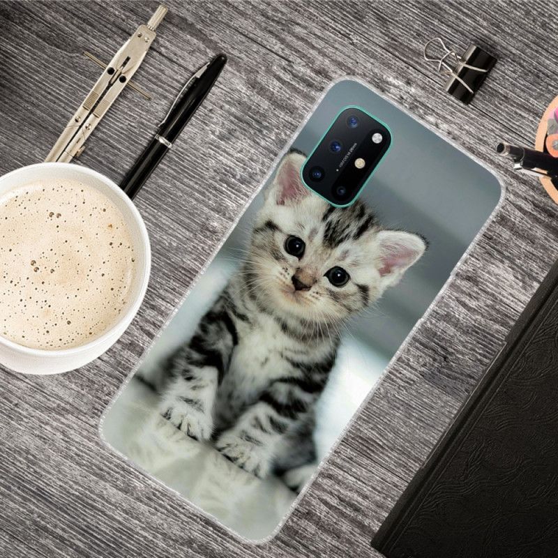 Kryt Oneplus 8t Kotě Kotě